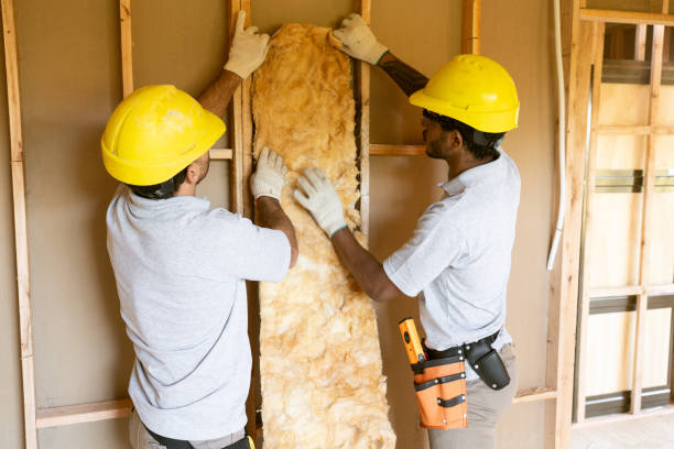 Best Cellulose Insulation  in Mount Pleasant, NC
