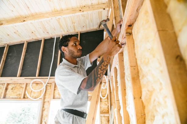Best Local Insulation Services  in Mount Pleasant, NC