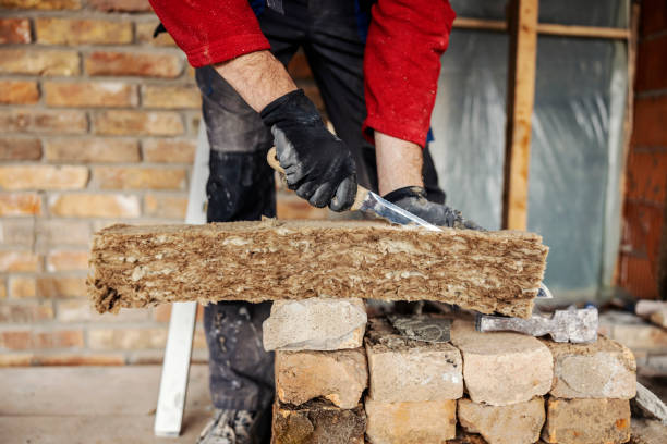Best Attic Insulation Installation  in Mount Pleasant, NC