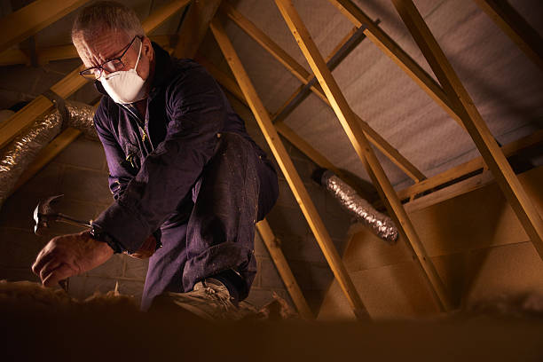 Best Insulation Replacement Services  in Mount Pleasant, NC